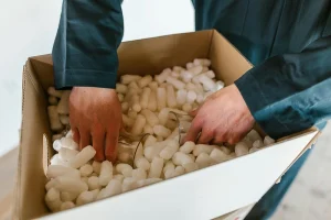 ecochips biodegradabili